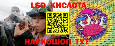 крисы Кизляр