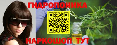 тгк Бийск
