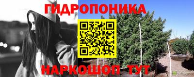 тгк Бийск