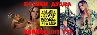 тгк Бийск