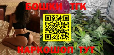 тгк Бийск