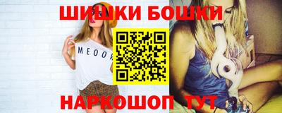 тгк Бийск