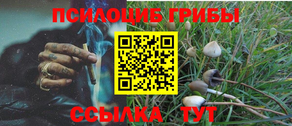 Галлюциногенные грибы мицелий Канаш