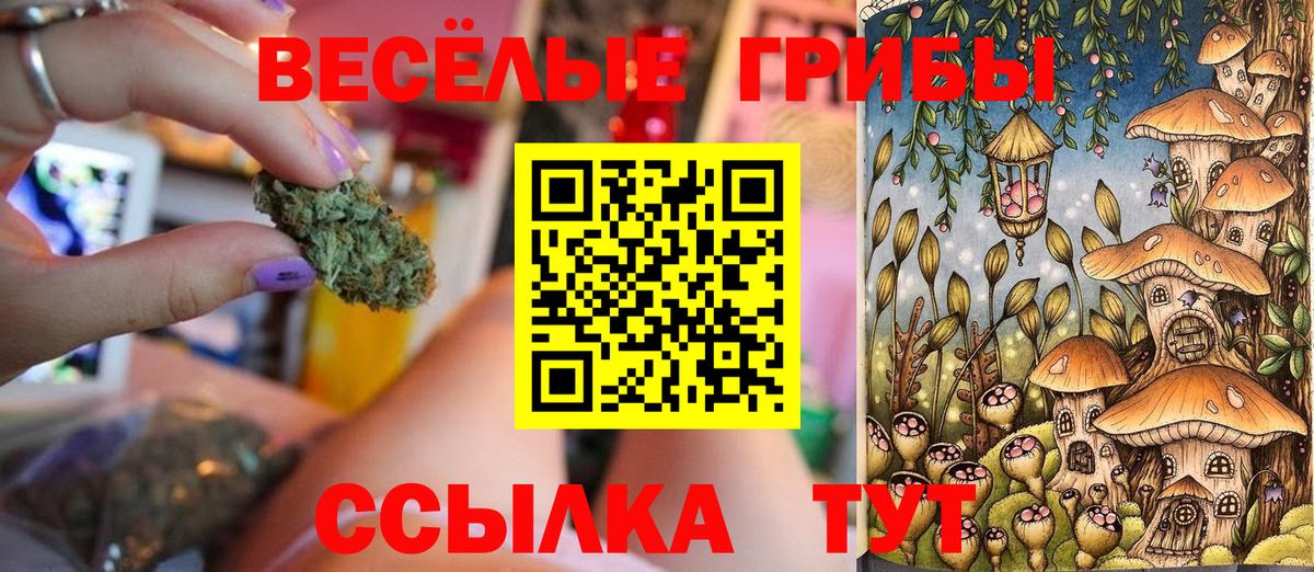 Галлюциногенные грибы Psilocybe  купить  цена  Канаш  Вход с VPN 